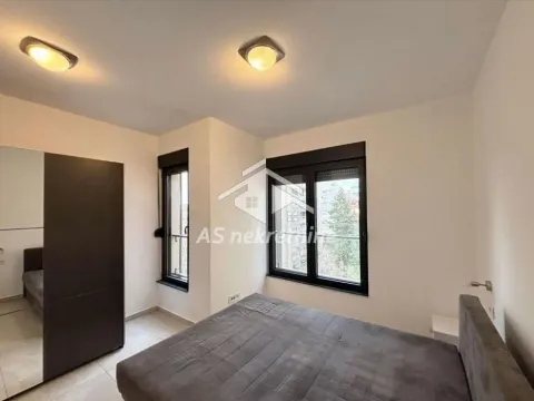 Izdavanje, stan, 55m², Južni Bulevar, Vračar Sve Podlokacije - image 8