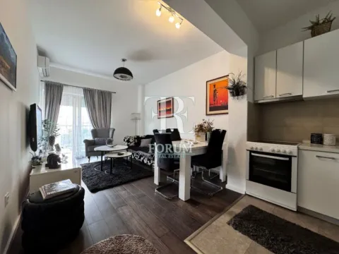 Izdavanje, jednosoban stan, 50m², Vezirov Most, Podgorica - image 5