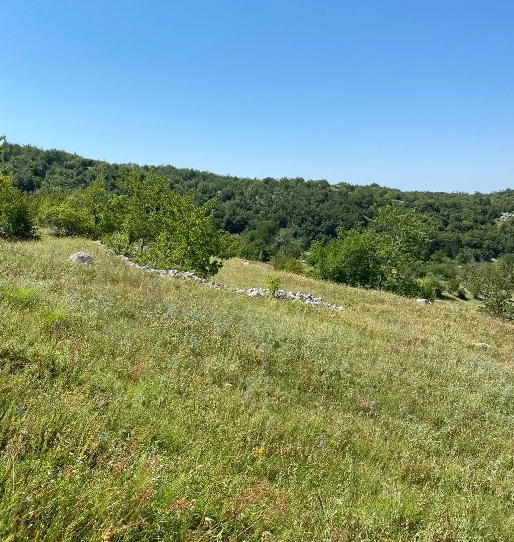 Sale, land lot, 30000m², Kuči, Podgorica