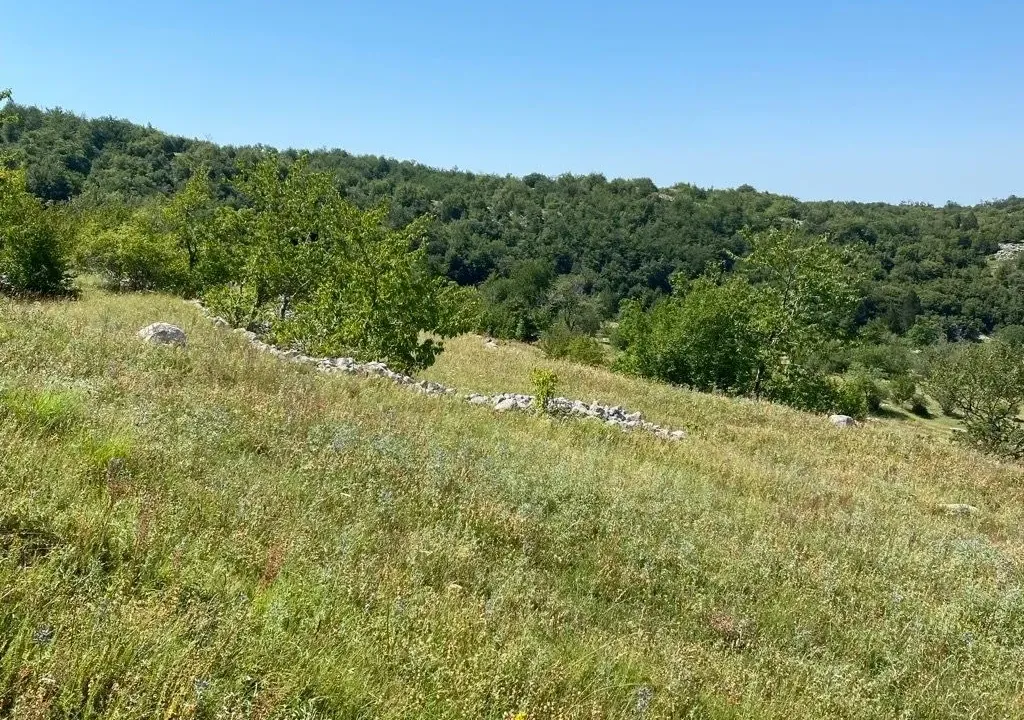 Prodaja, plac, 30000m², Kuči, Podgorica