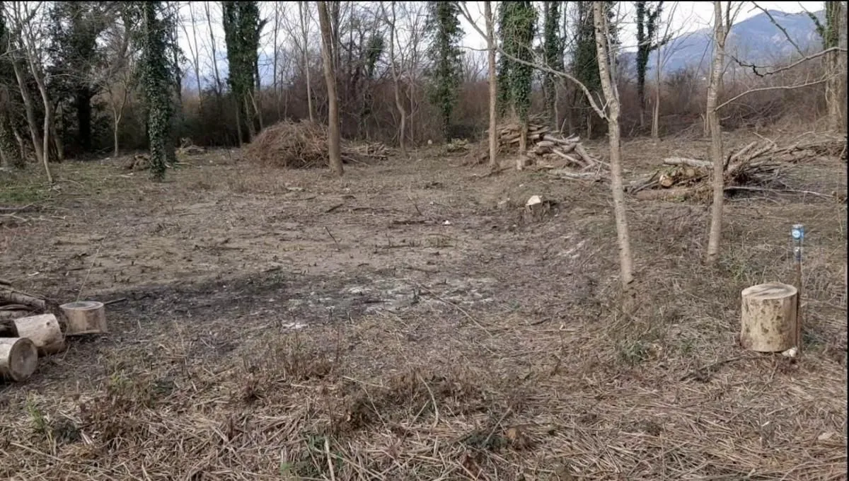 Prodaja, plac, 790m², Bigova, Kotor
