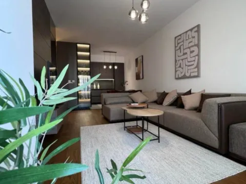 Izdavanje, jednosoban stan, 65m², Soho City, Bar - image 9