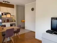 Izdavanje, jednosoban stan, 47m², Rozino, Budva - image 10