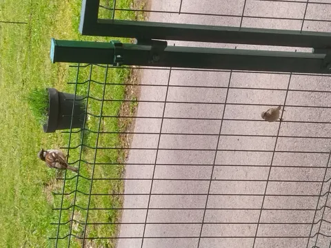 Sale, one bedroom apartment, 38m², Mokra gora, Tara - image 3