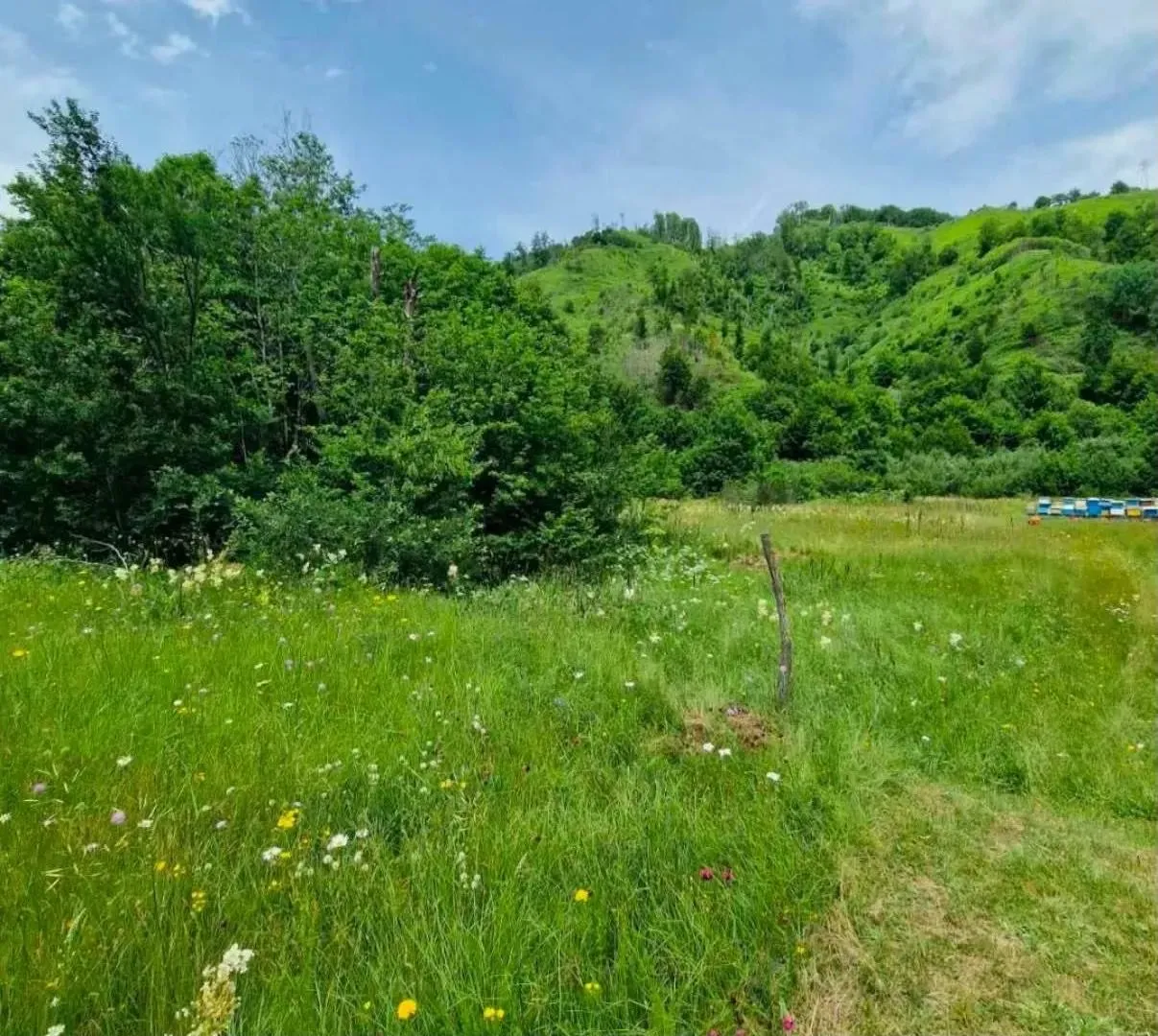 Prodaja, plac, 4300m², Veruša, Podgorica