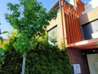 Izdavanje, kuća, 230m², Sremska Kamenica, Petrovaradin - image 8