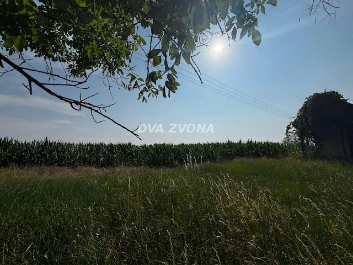Prodaja, plac, 4700m², Čortanovci, Inđija