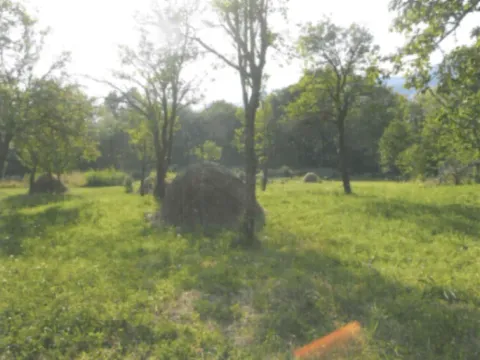 Sale, land lot, 10000m², Drpe, Kolašin - image 5