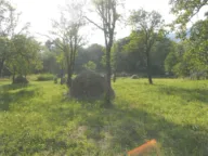 Prodaja, plac, 10000m², Drpe, Kolašin - image 5