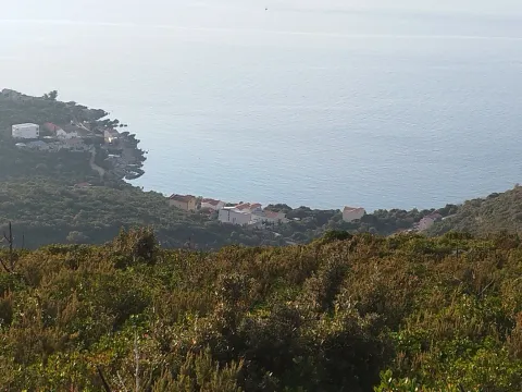 Prodaja, plac, 30000m², Kotor, Crna Gora - image 5