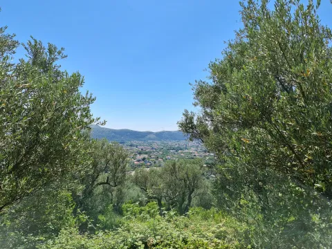 Sale, land lot, 10000m², Stari Bar, Bar - image 4