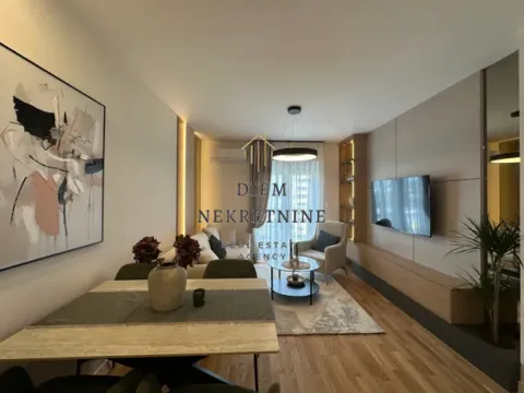 Izdavanje, jednosoban stan, 43m², Zabjelo, Podgorica - image 9