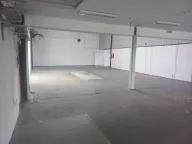 Izdavanje, poslovni prostor, 700m², Zemun Sve Podlokacije, Beograd - image 14