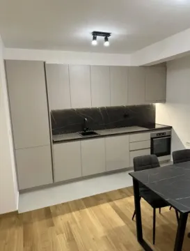 Izdavanje, jednosoban stan, 47m², City Kvart, Podgorica - image 5