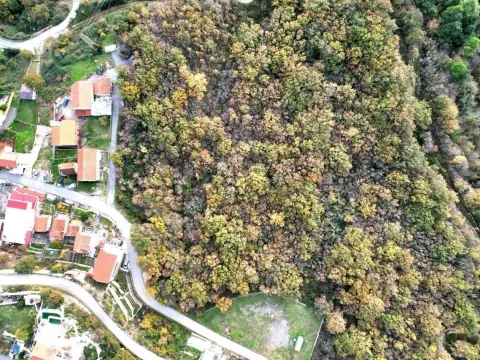 Prodaja, plac, 2951m², Markovići, Budva - image 4