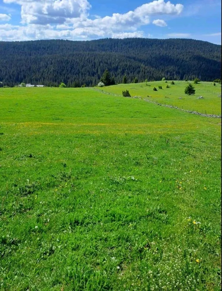 Prodaja, plac, 4406m², Pitomine, Žabljak