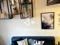 Izdavanje, stan, 45m², Senjak, Beograd - image 7