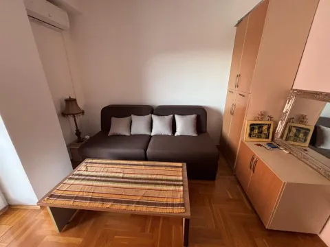 Dnevna soba sa kaučem, stočićem i drvenim ormarima. - image 14