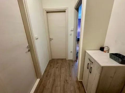 Izdavanje, jednosoban stan, 43m², Zagorič, Podgorica - image 4