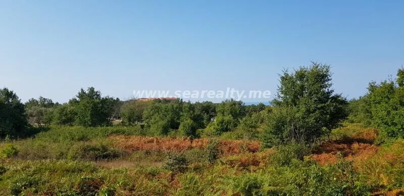 Prodaja, plac, 6400m², Krimovica, Kotor