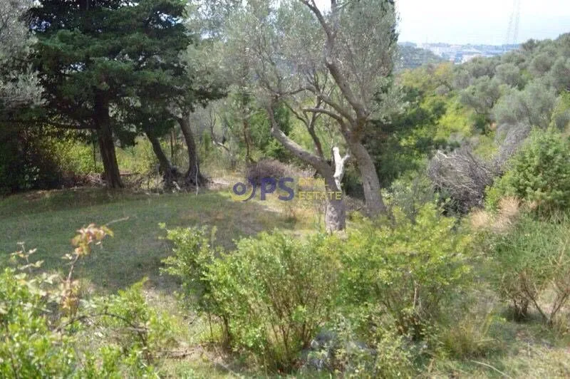 Prodaja, plac, 3014m², Bar, Crna Gora