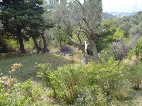 Prodaja, plac, 3014m², Bar, Crna Gora - image 3