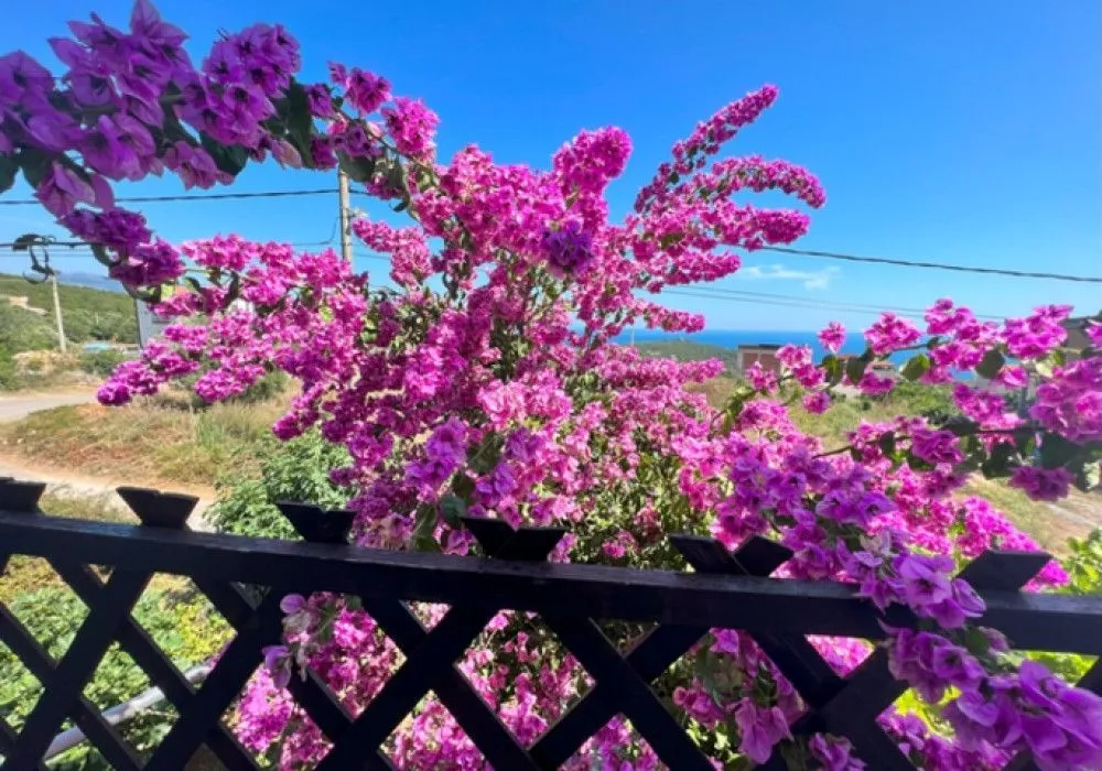 Sale, house, 245m², Krimovica, Kotor