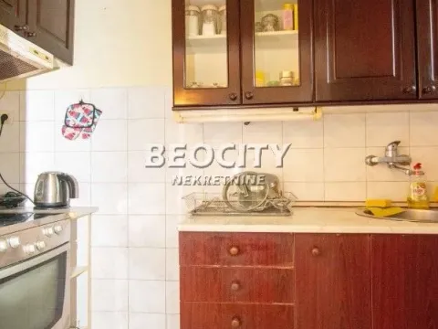 Prodaja, kuća, 250m², Karaburma, Palilula Sve Podlokacije - image 4