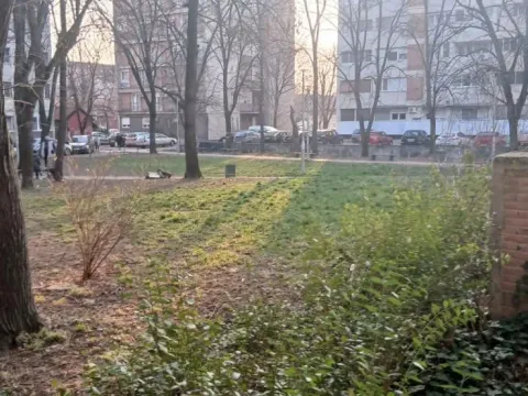 Prodaja, jednosoban stan, 38m², Zemun Sve Podlokacije, Beograd - image 10