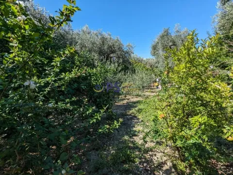 Prodaja, kuća, 150m², Bar, Crna Gora - image 17