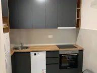 Izdavanje, jednosoban stan, 49m², Central Point, Podgorica - image 1