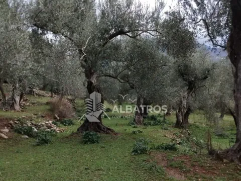 Prodaja, plac, 690m², Bar, Crna Gora - image 1