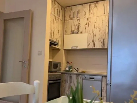 Stan-na-dan, jednosoban stan, 47m², City Kvart, Podgorica - image 4