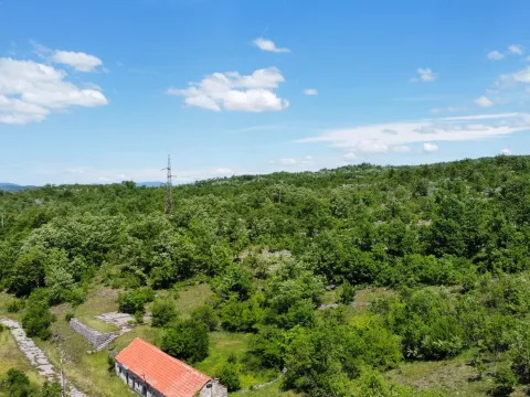 Prodaja, plac, 300000m², Rudine, Nikšić - image 5