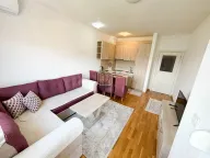 Izdavanje, jednosoban stan, 41m², Stari Aerodrom, Podgorica - image 1