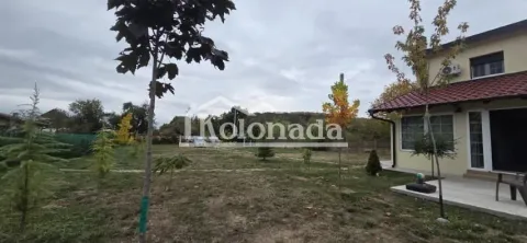 Prostrano dvorište sa zelenilom ispred kuće. - image 13