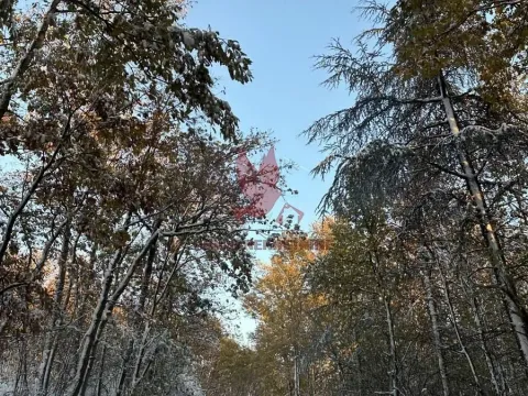 Daily-rent, one bedroom apartment, 38m², Kosmaj, Sopot - image 6