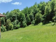 Sale, land lot, 40000m², Andrijevica, Crna Gora - image 1