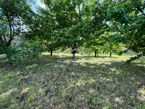 Prodaja, plac, 1050m², Plavinac, Smederevo - image 9