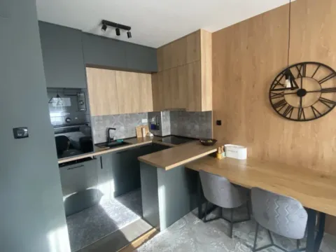 Izdavanje, jednosoban stan, 47m², Pobrežje, Podgorica - image 4