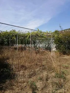 Dvorište sa metalnom konstrukcijom i vinovom lozom. - image 12