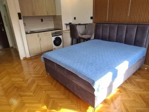 Izdavanje, garsonjera, 22m², Kalenić Pijaca, Vračar Sve Podlokacije - image 10