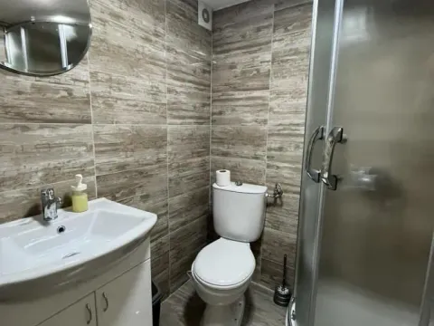 Sale, house, 400m², Tavrića obori, Jagodina - image 3