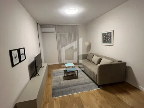 Rent, one bedroom apartment, 48m², Central Point, Podgorica - image 5