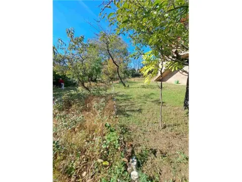 Prodaja, kuća, 130m², Pantelej, Niš - image 5