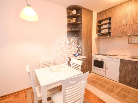 Izdavanje, jednosoban stan, 52m², Tuški Put, Podgorica - image 15