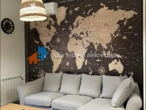 Izdavanje, dvosoban stan, 55m², Savski Venac, Beograd - image 2