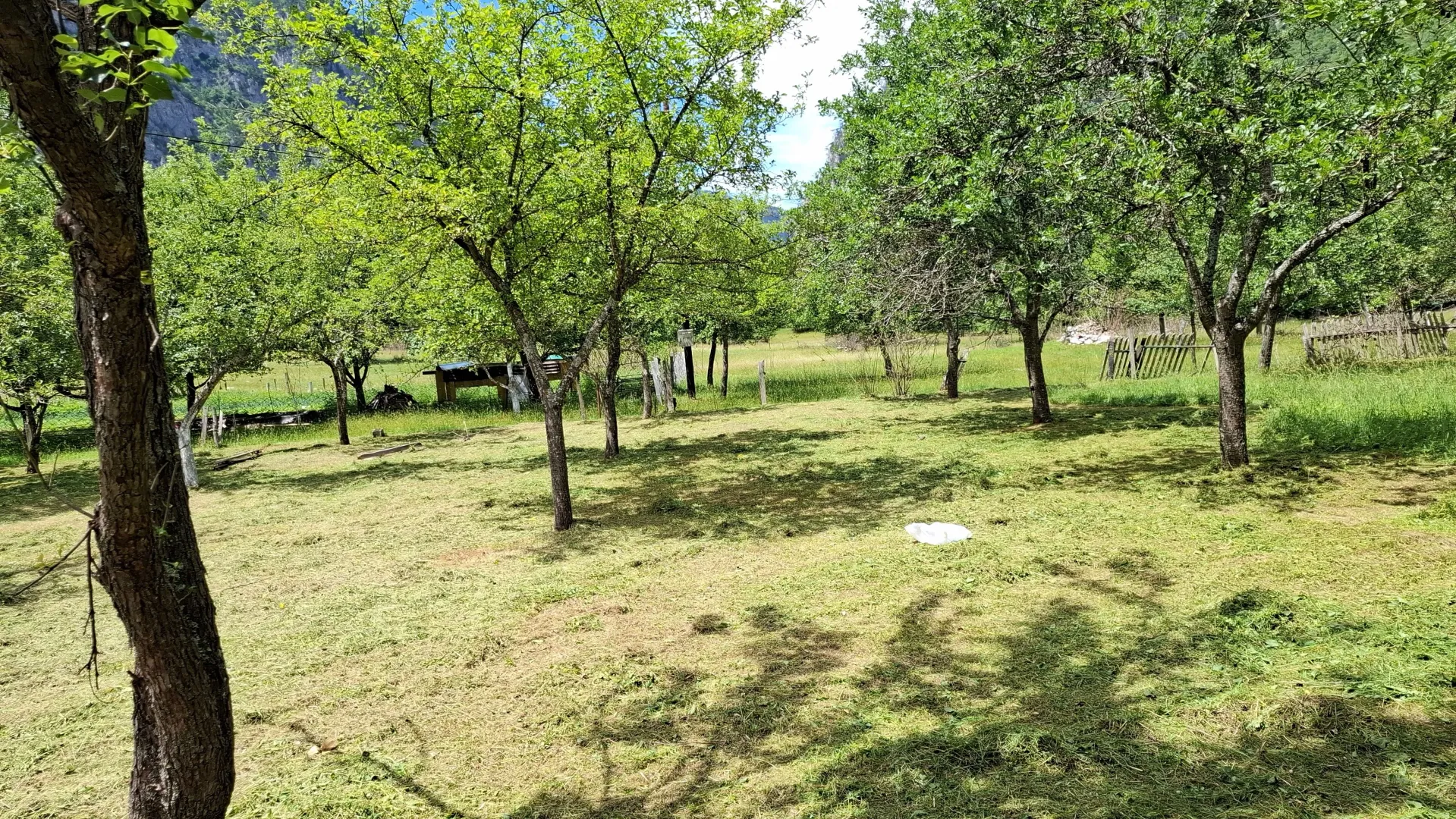 Prodaja, plac, 4000m², Dobrilovina, Mojkovac