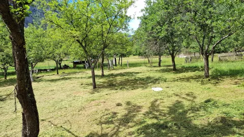 Prodaja, plac, 4000m², Dobrilovina, Mojkovac - image 15