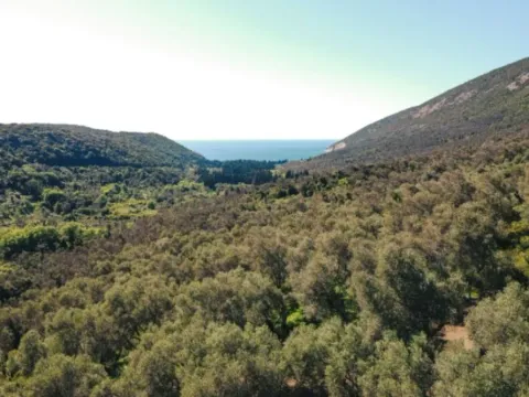 Prodaja, plac, 3030m², Centar, Ulcinj - image 8